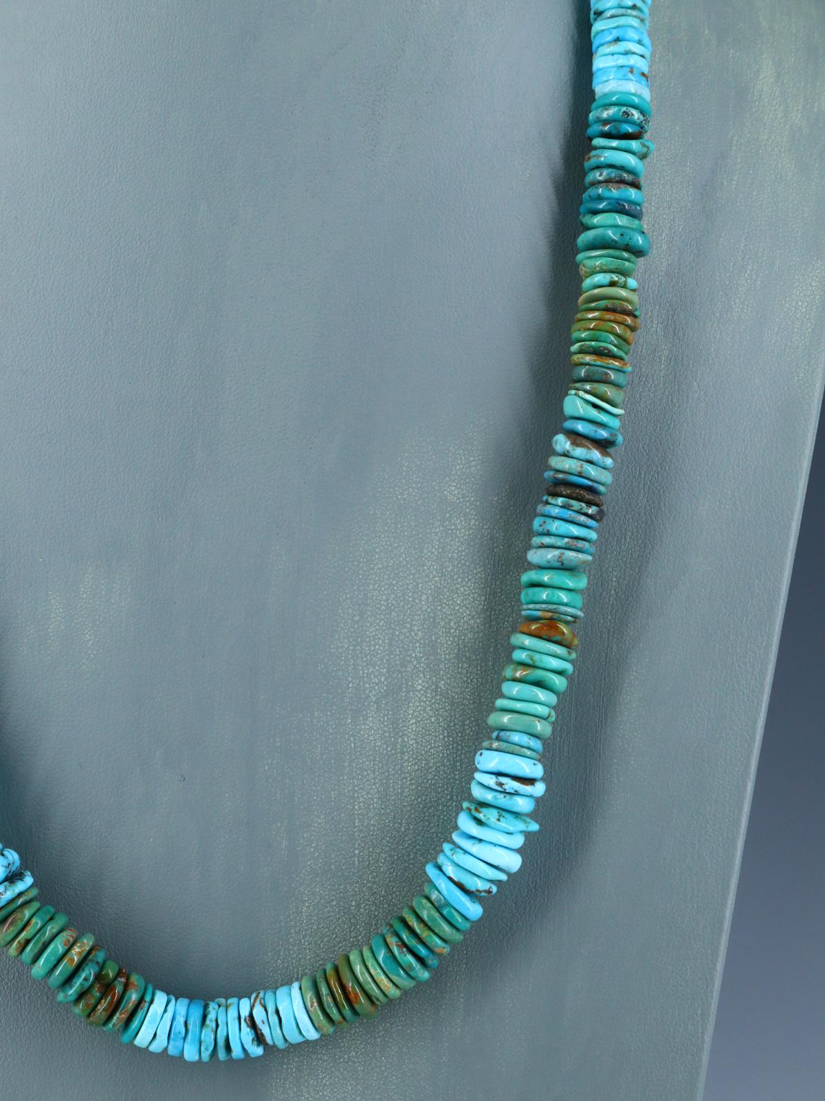 Single Strand Polychrome Turquoise Necklace