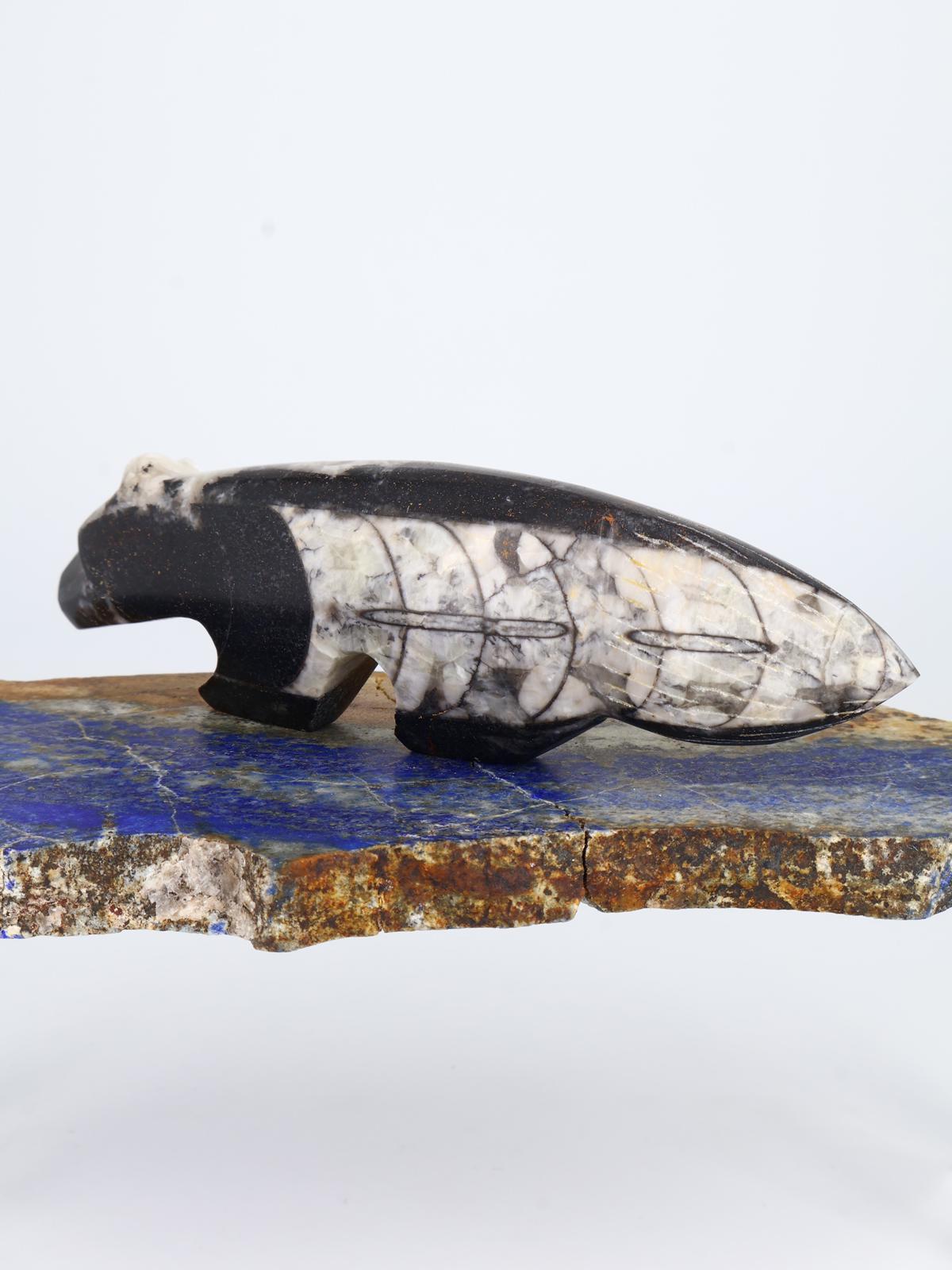 Fossilized Orthoceras Wolf Zuni Fetish