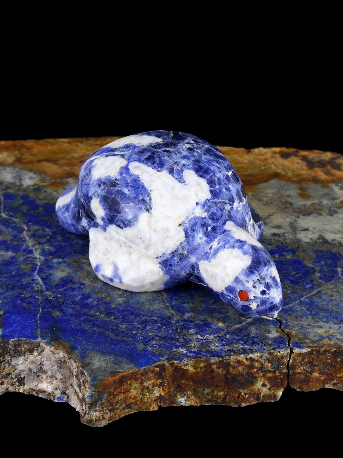 Sodalite Turtle Zuni Fetish