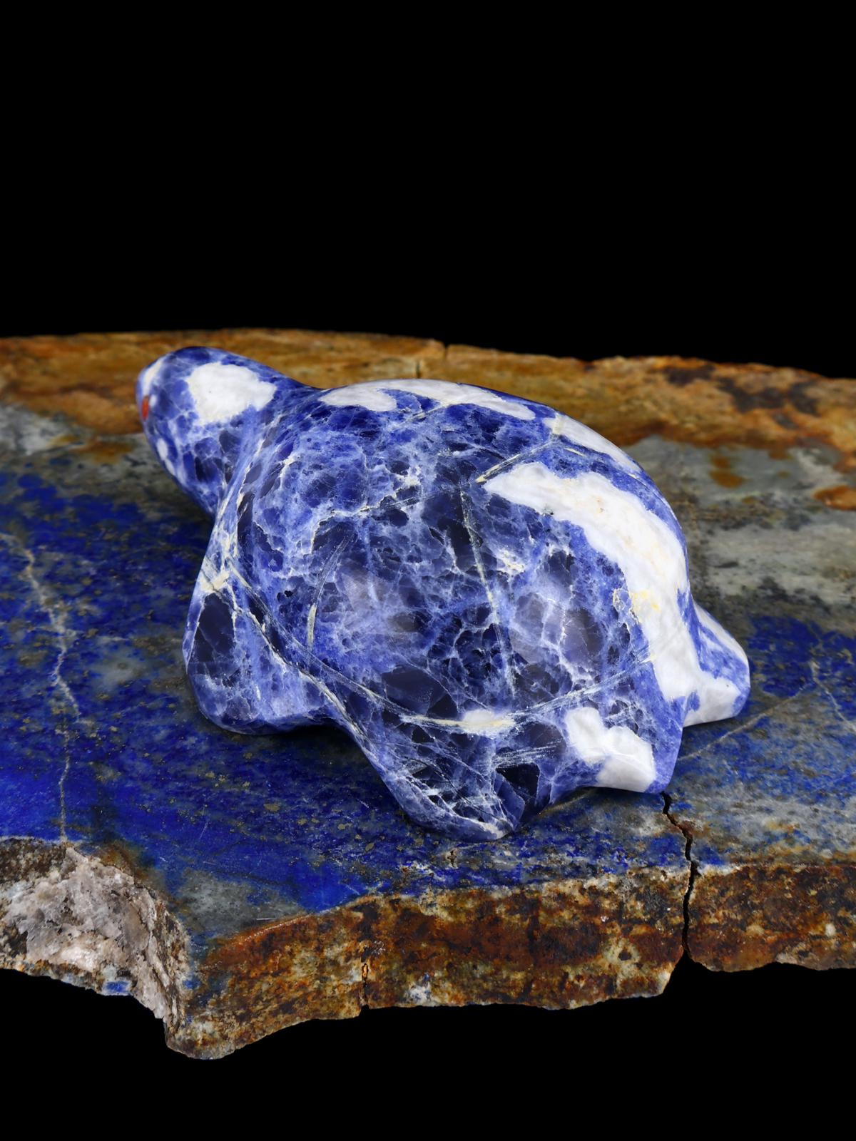 Sodalite Turtle Zuni Fetish