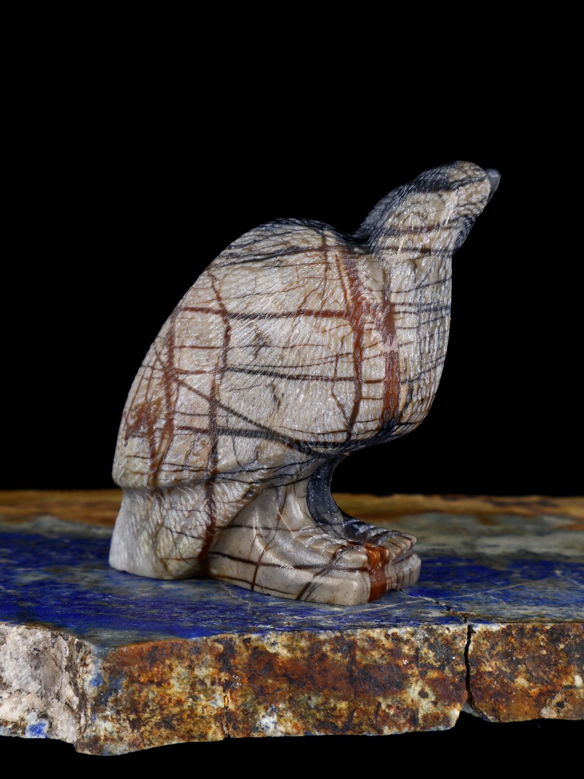 Picasso Marble Pelican Zuni Fetish