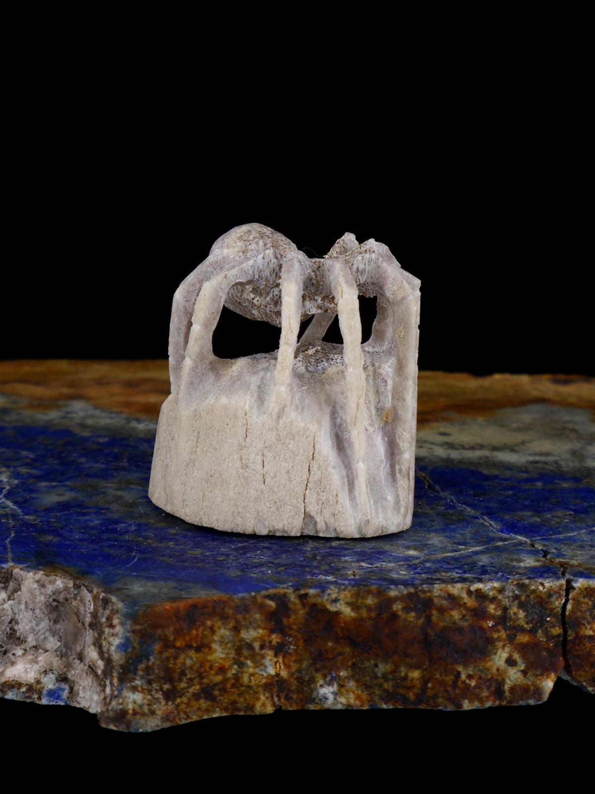 Antler Spider Zuni Fetish