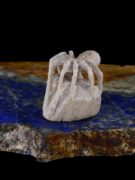 Antler Spider Zuni Fetish